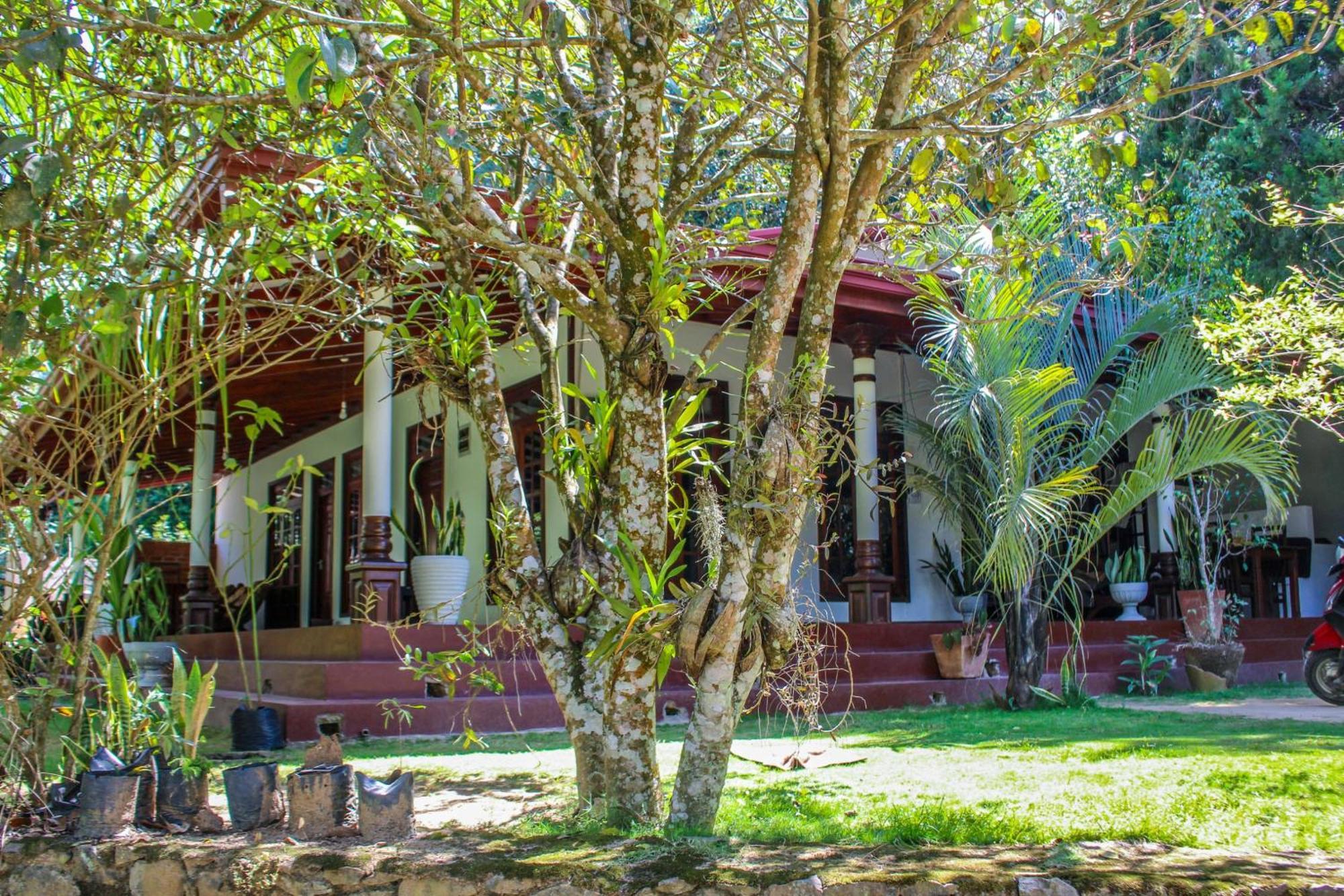 Lavender Homestay Ella Εξωτερικό φωτογραφία